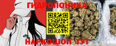 не бодяженный Будённовск