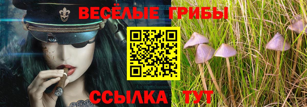 дарнет шоп  Вход с VPN  Котовск  Галлюциногенные грибы мухоморы 